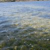 Marsala_2012 (235)